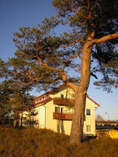 Guest house Ošia 斯文托伊 外观 照片